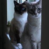 Entry image for Jasper & Lily