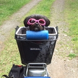 Entry image for Emmie