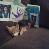 Entry image for Chico