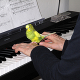 Entry image for Hito