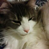 Entry image for Sarah