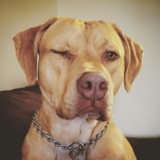 Entry image for Daisy