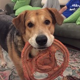 Entry image for Oscar