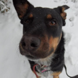 Entry image for Summer