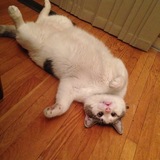 Entry image for Charlie