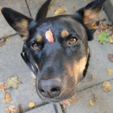 Entry image for Summer