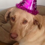 Entry image for Lebron