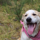 Entry image for Jenni