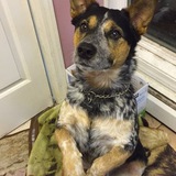 Entry image for Tyler P. Jones