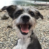 Entry image for Duke