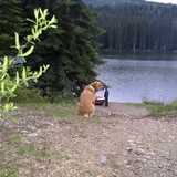 Entry image for Molly