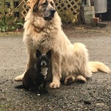 Entry image for Marco and Heidi