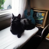 Entry image for Neville