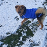 Entry image for Kira