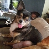 Entry image for Winky