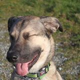 Entry image for Justice Timberlake