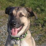 Entry image for Justice Timberlake