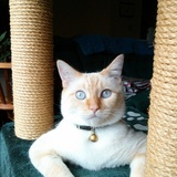 Entry image for Maggie