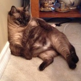 Entry image for Sophie