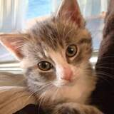 Entry image for Ellie May 