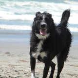 Entry image for Mercedes