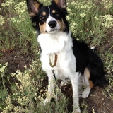 Entry image for Deja Vu