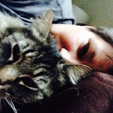 Entry image for Cello