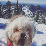 Entry image for Roxy