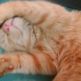 Entry image for Baby