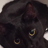 Entry image for Cash