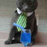 Entry image for Korra