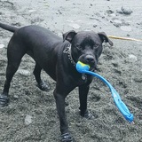 Entry image for Darby