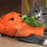 Entry image for Timmy