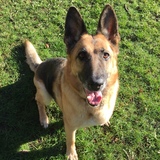 Entry image for Betty