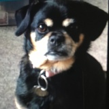 Entry image for Maddie