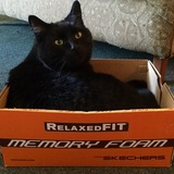 Entry image for Glenny 