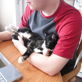 Entry image for Calli