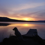 Entry image for Annie