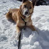 Entry image for Jojo Cupcake