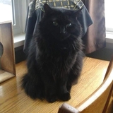 Entry image for Midnite