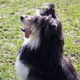 Entry image for GeorgeMichael 