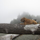 Entry image for Lila Spooner