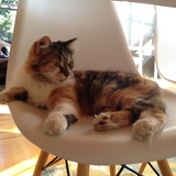 Entry image for Samantha