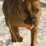 Entry image for Copper