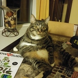 Entry image for Kent