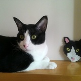 Entry image for Wu Kong