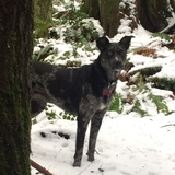 Entry image for Kacey