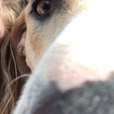 Entry image for Shayla