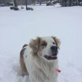 Entry image for Georgia