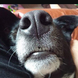 Entry image for Kaija